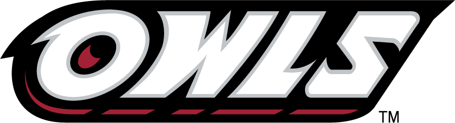 Temple Owls 1996-2014 Wordmark Logo diy DTF decal sticker